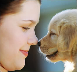 Dog showing love to owner